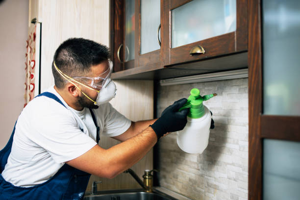 Best Emergency Pest Control  in Topeka, KS