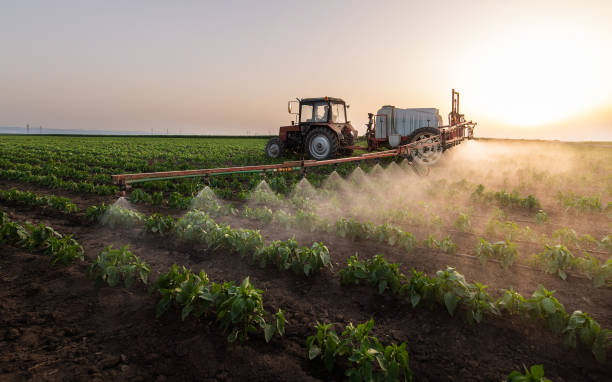 Pest Prevention Services in Topeka, KS