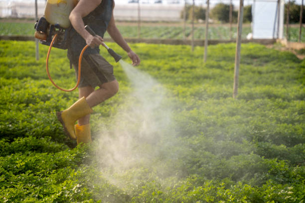 Best Best Pest Control Companies  in Topeka, KS