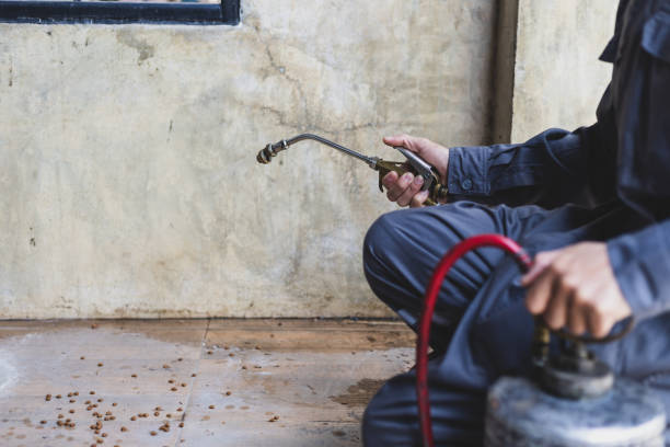 Best Affordable Pest Control Services  in Topeka, KS
